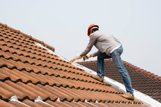 Best Roof Coating and Sealing  in Dunlap, TN